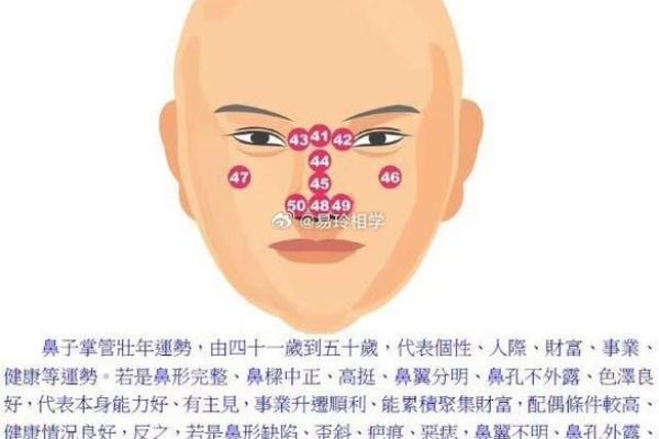 探索面相学：鼻子光亮的神秘含义与命运解析
