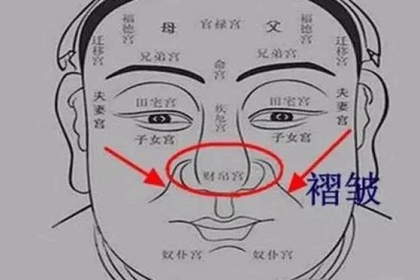 探索面相学：鼻子光亮的神秘含义与命运解析