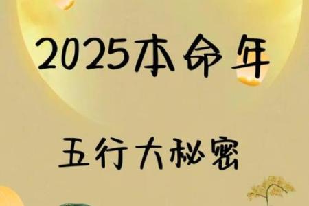 探秘五行:男命父亲的五行属性对命运的影响