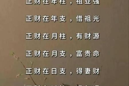 女人富贵命的象征与解读：探索命理与生活的微妙关系