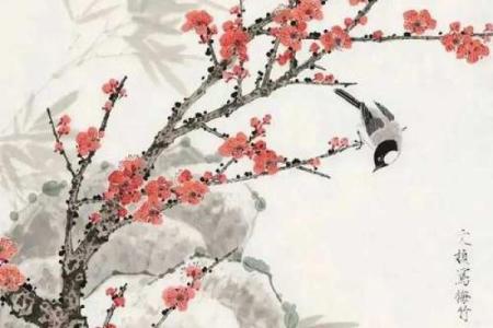 梅花之命：那些拥有独特命格的人的人生之路