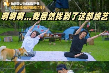 劳碌命:在繁忙的生活中寻找内心的宁静与幸福