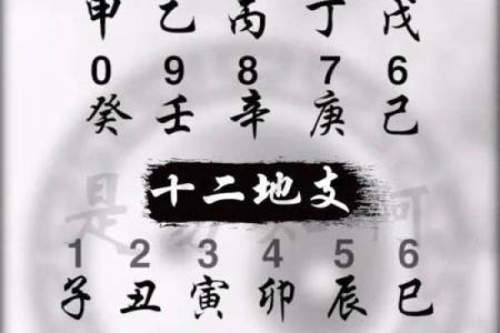 揭秘2003年出生孩子的命运与天干地支的奥秘