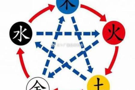 龙年正月五行命理分析:揭示不同命格的运势与性格特点