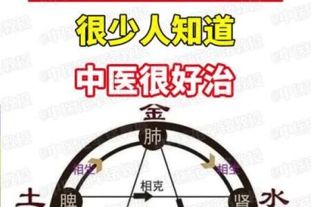 缺木命的朋友们,怎样挑选适合的手机,助你运势提升!