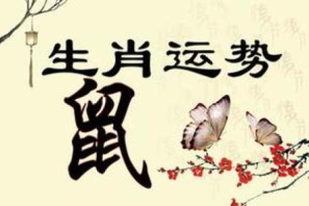 农历5月12日出生的命运解读:隐秘而卓越的人生之路
