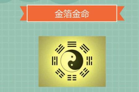 命里是金命的性格特点与生活解析