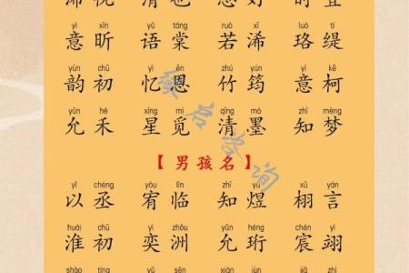 水木命格下的命名探索：如何为宝宝取个寓意深远的名字