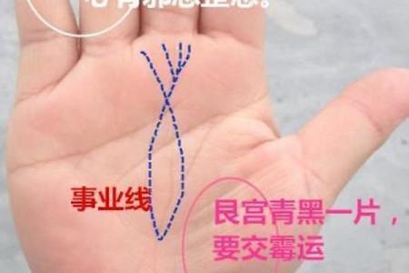 探索龙历二月初五的命理奥秘与人生发展