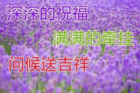命里带香火与碑王：人与命运的深切缘分解析
