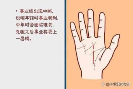 女命八字中官杀的独特含义与深刻解析
