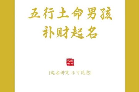 木命与土命:选择合适的生意机会,共创辉煌未来
