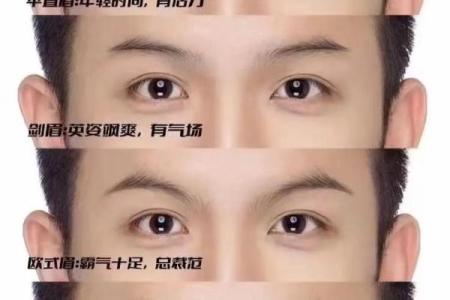 男生眉毛如牛角,命运注定何去何从?一探究竟!