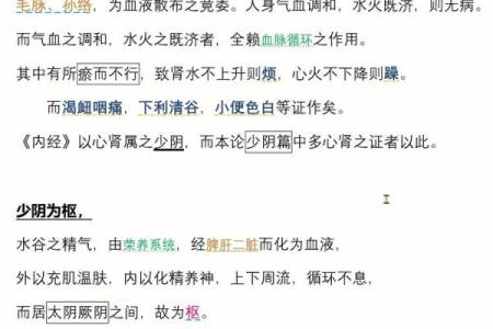 命理揭秘:伤阳伤尽的深刻内涵与影响探讨