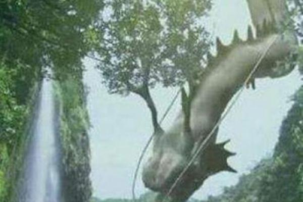 探秘救人一命的菩萨心——在动物界的感人故事