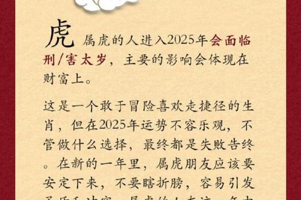 牛年已逝，新生虎年命运解析，让您的财富与运势腾飞！