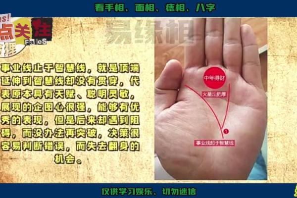 女人手掌横纹的命运解读：探寻人生的秘密与未来