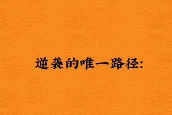 命中无正官，人生轨迹的不同选择与挑战