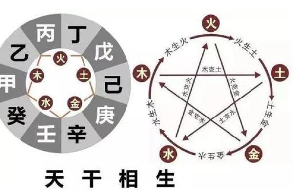 六九年三月出生的人属于什么命？全面解析与人生玄机！