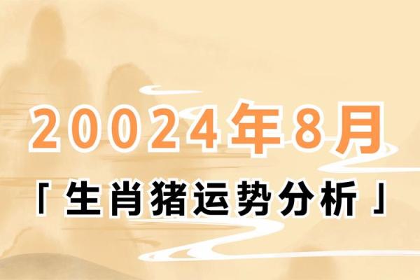 属猪的人五行喜好及相应的生活方式探讨