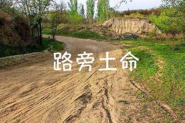如何给路旁土命命名？解析适合的字与命名技巧！