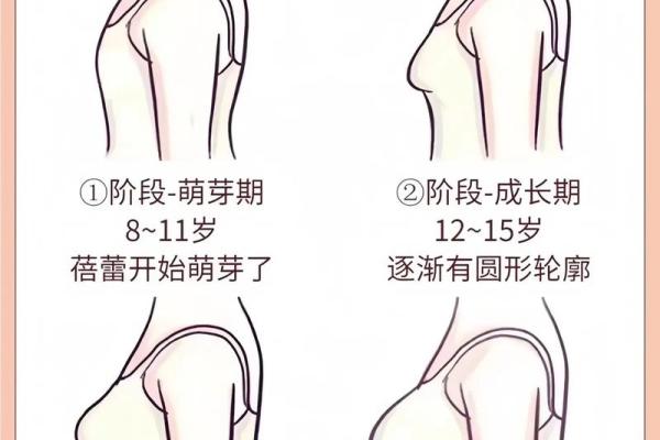 解读女孩子的年龄与命运：从小到大的成长故事