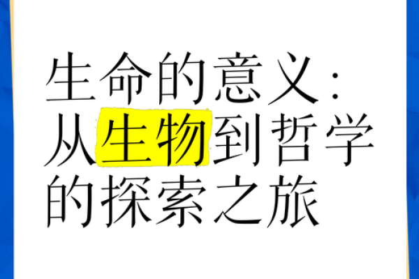 从生命中遗失到再生的哲学探索：亏了命的深意与启示