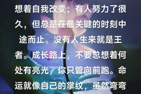 命运掌握在自己手中，勇敢追梦的心路历程