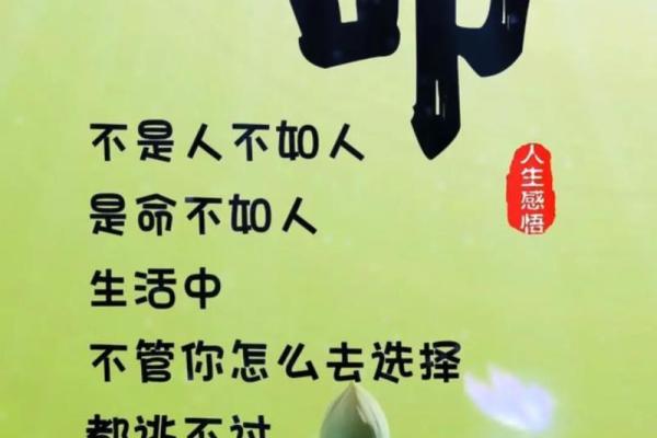 没有富贵命，人生的意义与追寻