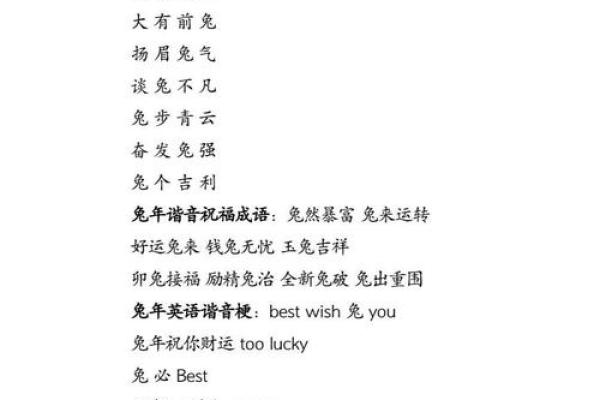 2024兔年五行解析：兔子也有自己的命运传奇！