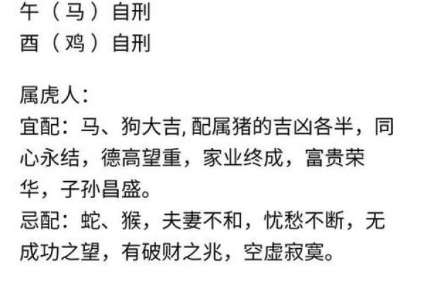 命命的含义与生肖解析：深入探讨生肖所蕴含的命运奥秘