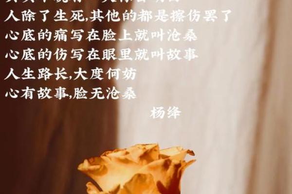 解密1996年五月初二的命运与人生轨迹