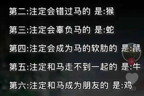 马年命格详解：属马人的性格与命运分析，共探繁荣未来！