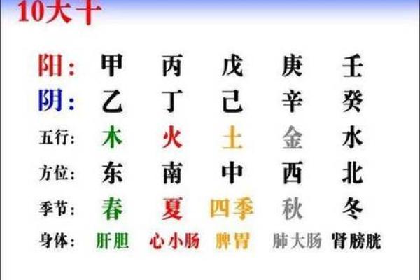 男孩命理解析：五行之中最优雅的命格探寻
