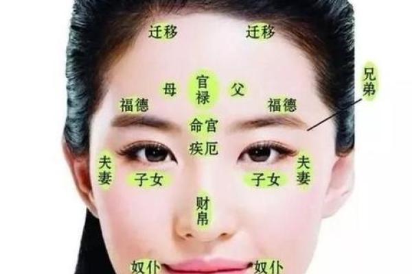 眉毛与财运：从面相看你的财富命运