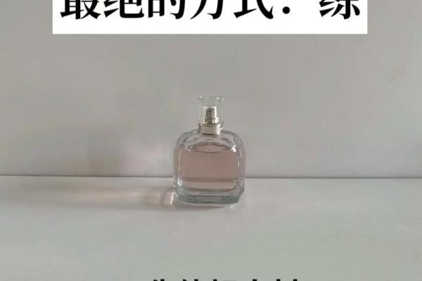 两命别踢：探秘生活中的命运交错与选择