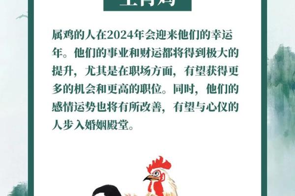 六九年属鸡者的命运解析：智慧与机遇并存的生活旅程