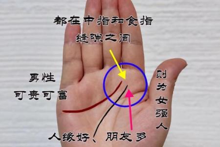 女人手掌横纹的命运解读：探寻人生的秘密与未来