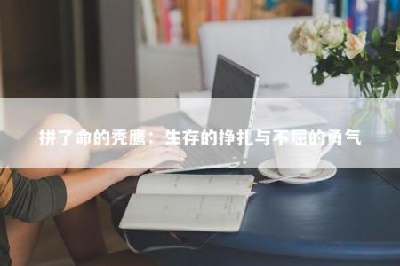 拼了命的秃鹰:生存的挣扎与不屈的勇气