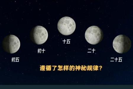 探秘七月初三：不同年份的命运与人生轨迹