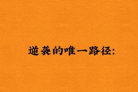 命中无正官，人生轨迹的不同选择与挑战