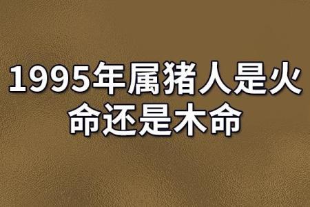 属猪的人五行喜好及相应的生活方式探讨