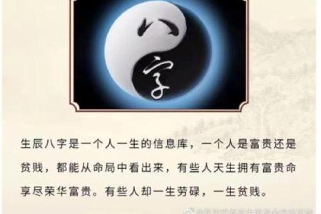 命运的密码：解读命理背后的奥秘与智慧