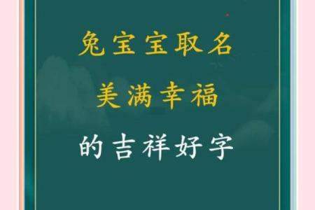 2024年兔年女宝宝命理解析：如何迎接兔宝宝的到来？