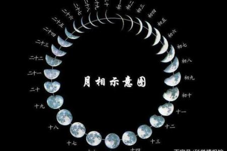 农历八月初五：解读这个特殊日子的命运之路与人生哲学