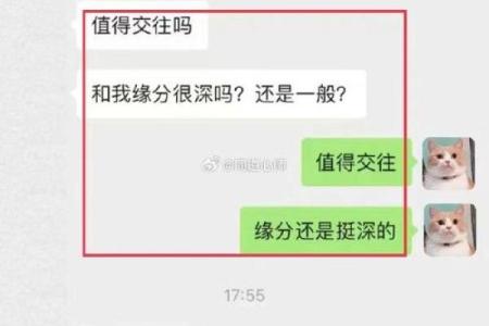 坤命与最佳婚配:揭秘命理学中的理想伴侣选择