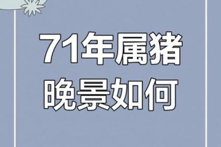 71年猪是什么命：揭开丁亥年猪的神秘面纱