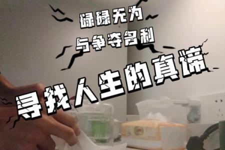探索名利之命:人生的意义与追求之旅