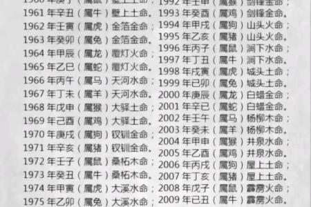炉火命的最佳搭配:如何选择合适的命格提升运势?