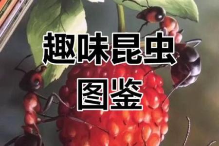昆虫的奥秘:它们为何拥有六条命?一探究竟!
